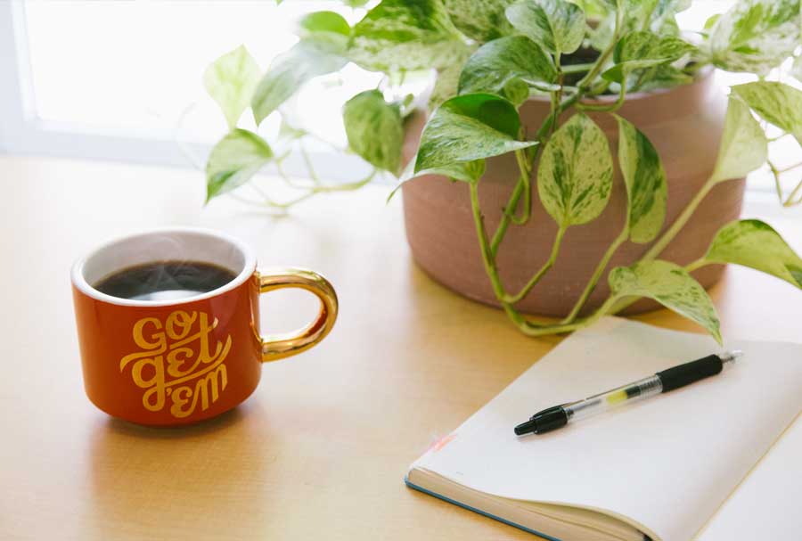 vastu-moneyplant