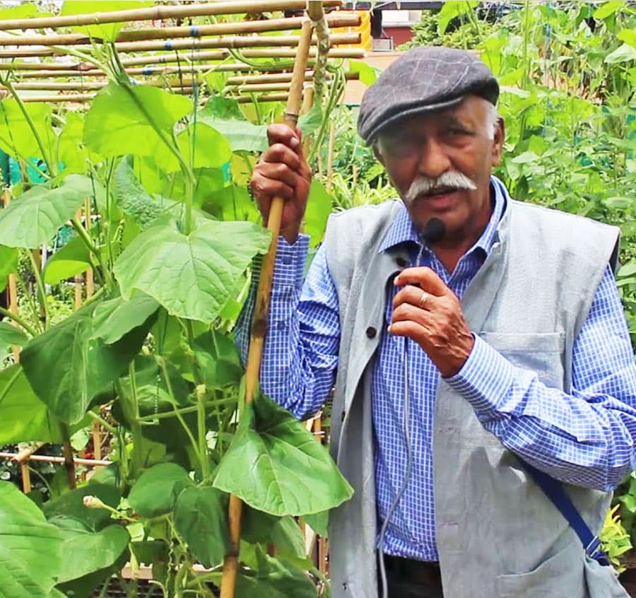 Organic Farming